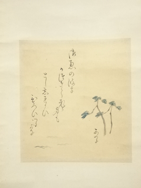 道具 ] - 道具 税所敦子筆 松図画賛和歌 肉筆色紙掛軸（保護箱